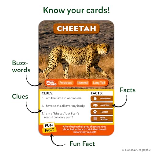 Guess in 10 Smart Questions Card Game for Kids Teens and Families