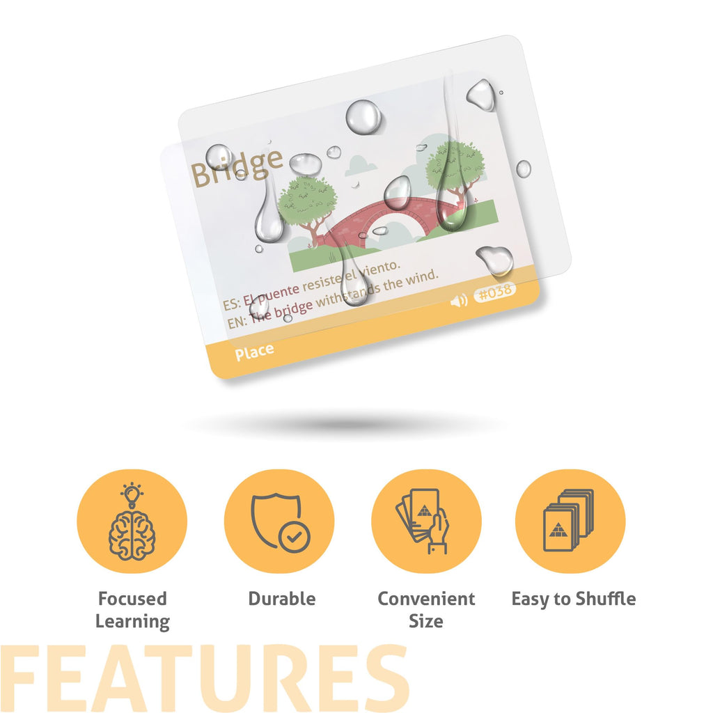 Spanish Vocabulary Flash Cards for Beginners with Audio