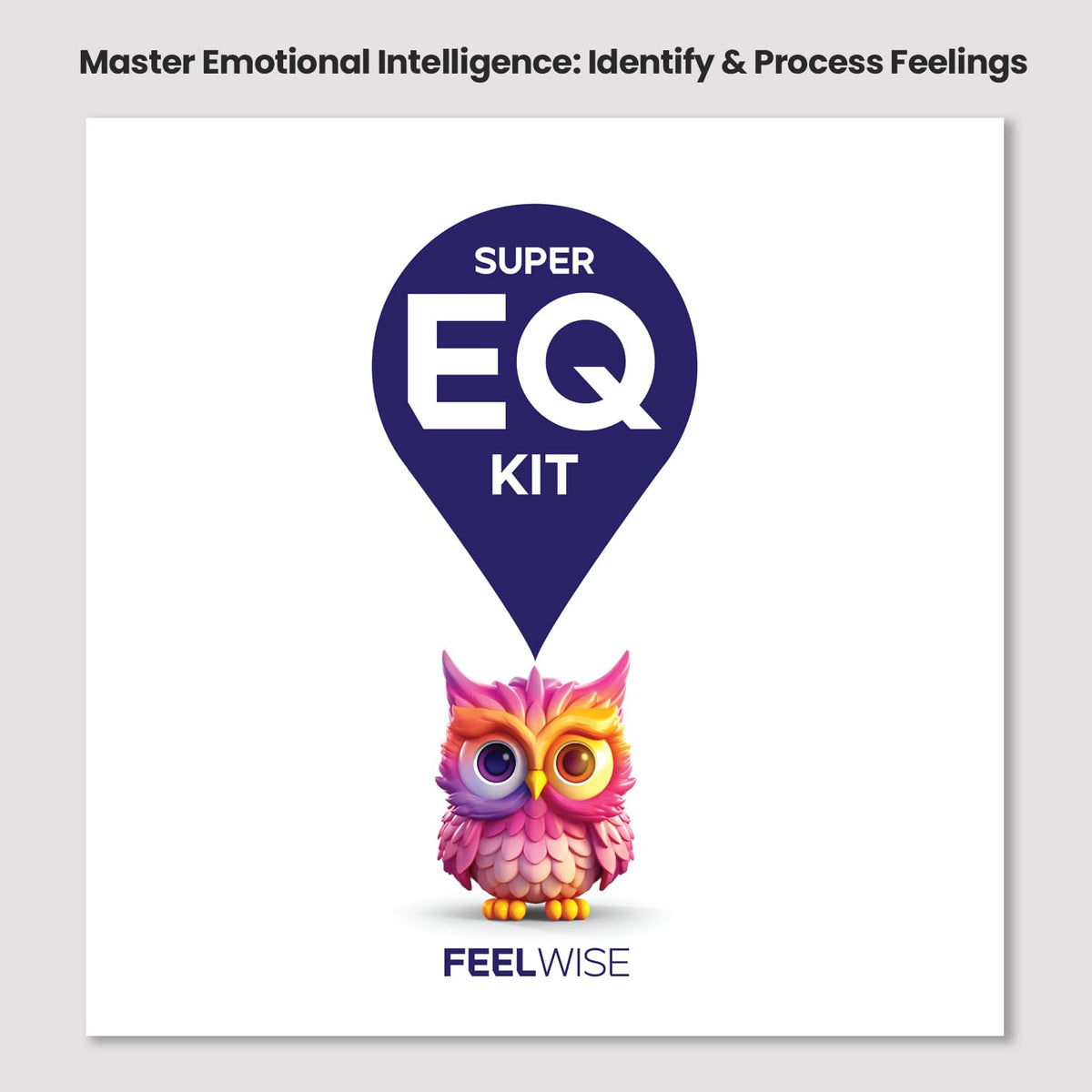 Emotional Intelligence Learning Kit with 13 Emotion Wheels