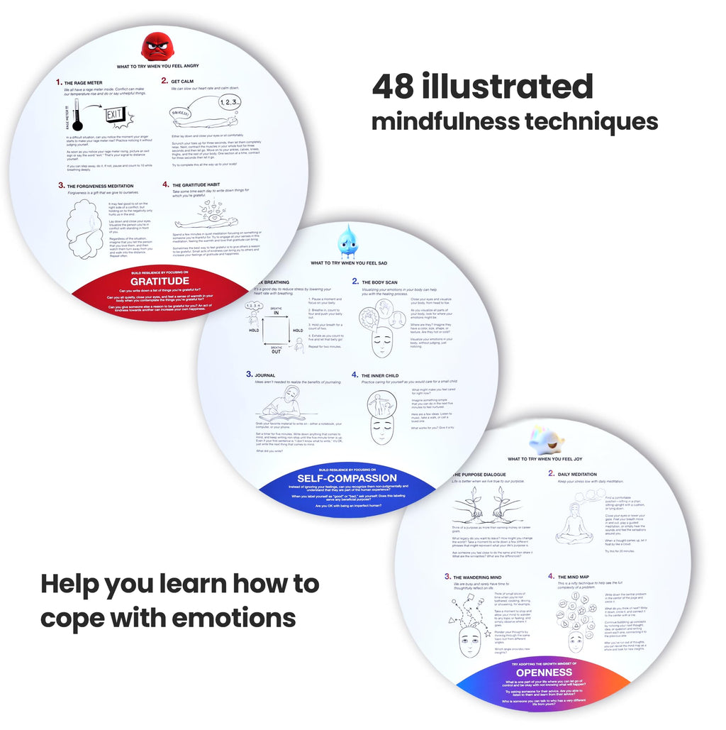 Emotional Intelligence Learning Kit with 13 Emotion Wheels