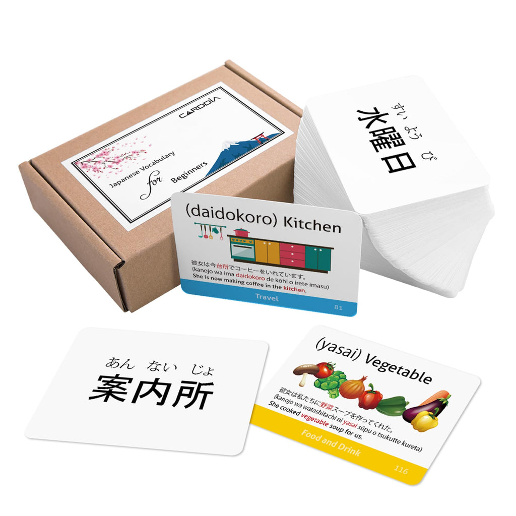 Japanese Vocabulary Flash Cards for Beginners with Example Sentences