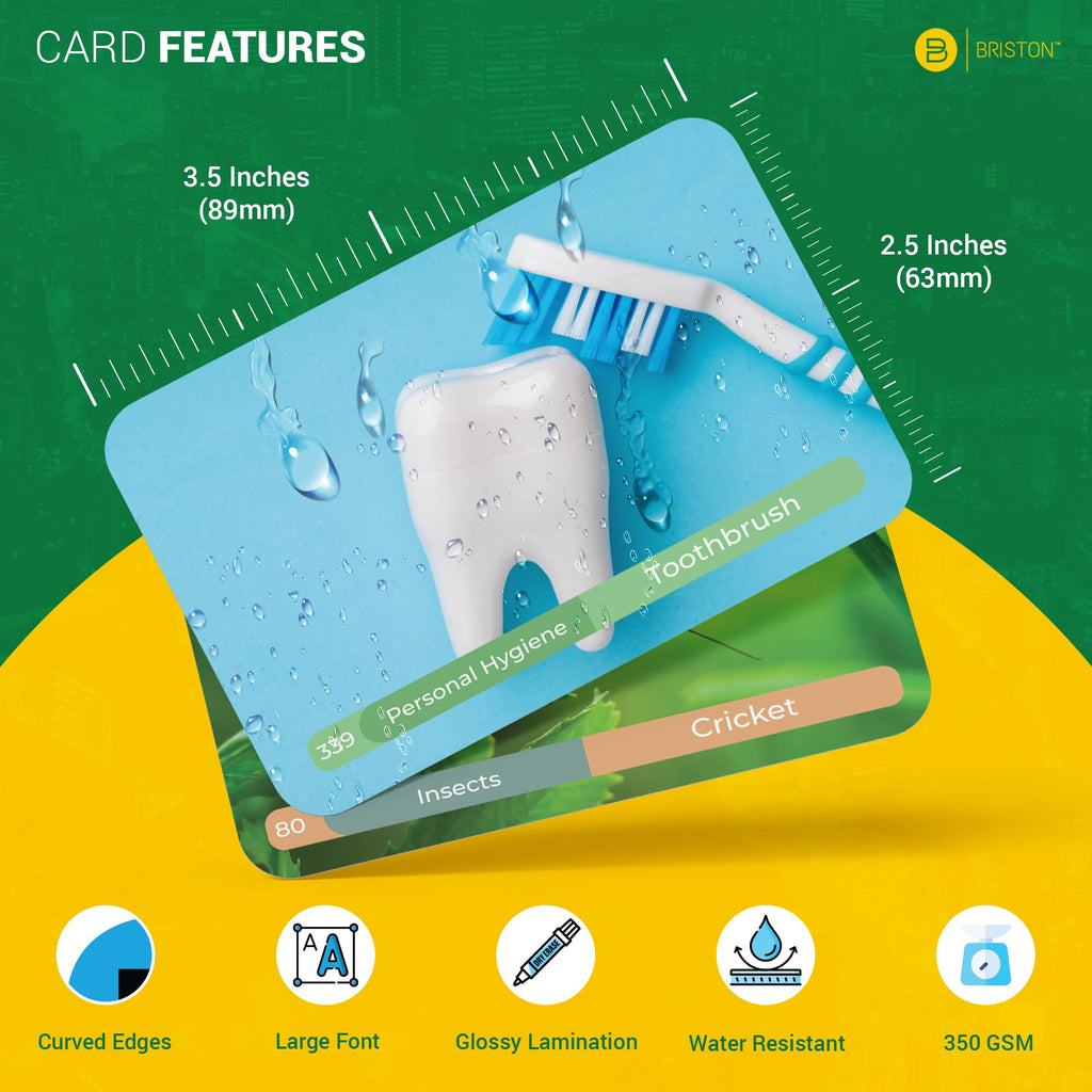 Spanish Vocabulary Flash Cards 600 Words Sentences and Pronunciation