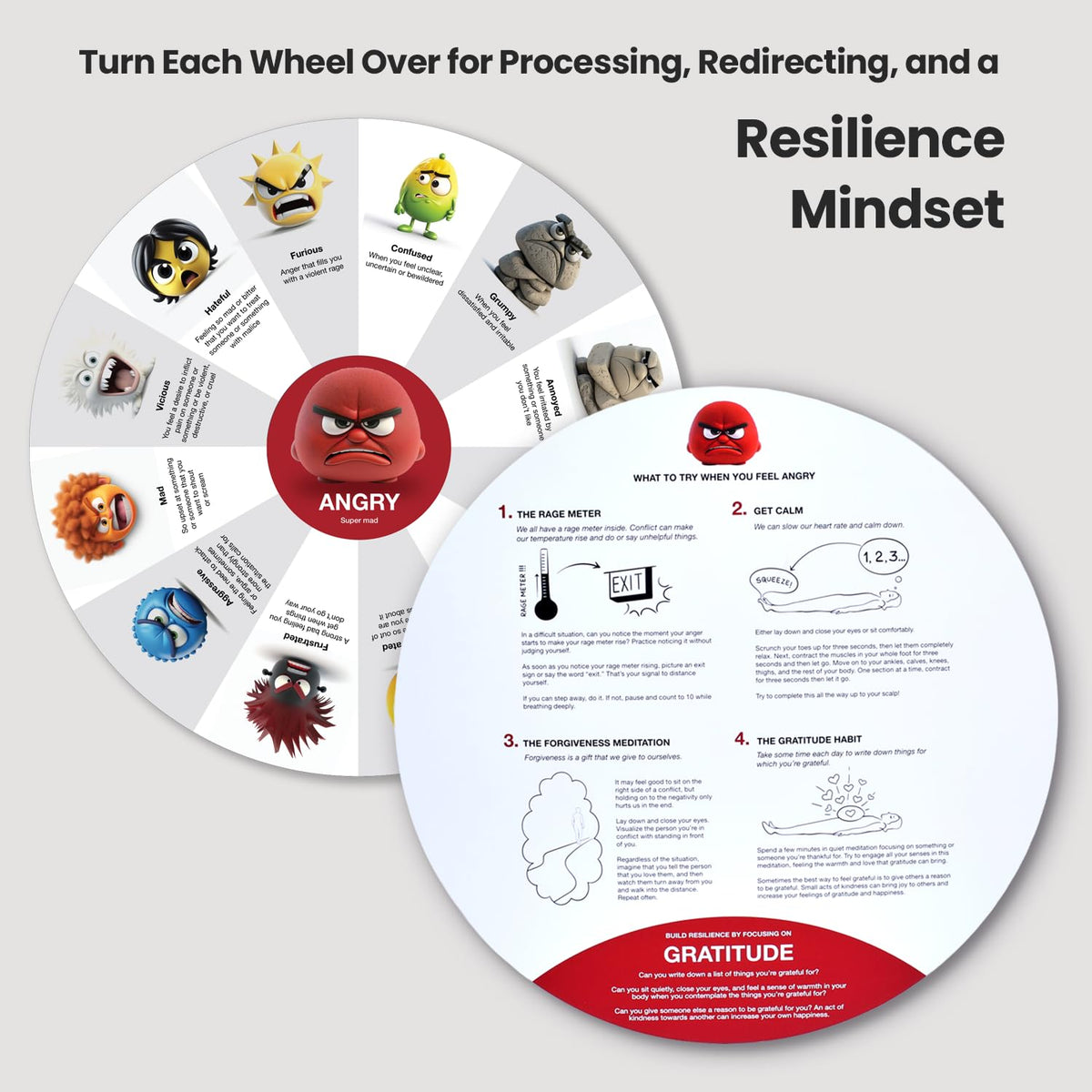 Emotional Intelligence Learning Kit with 13 Emotion Wheels