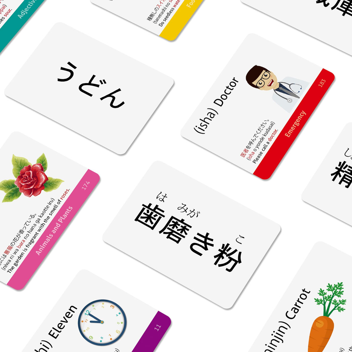 Japanese Vocabulary Flash Cards for Beginners with Example Sentences