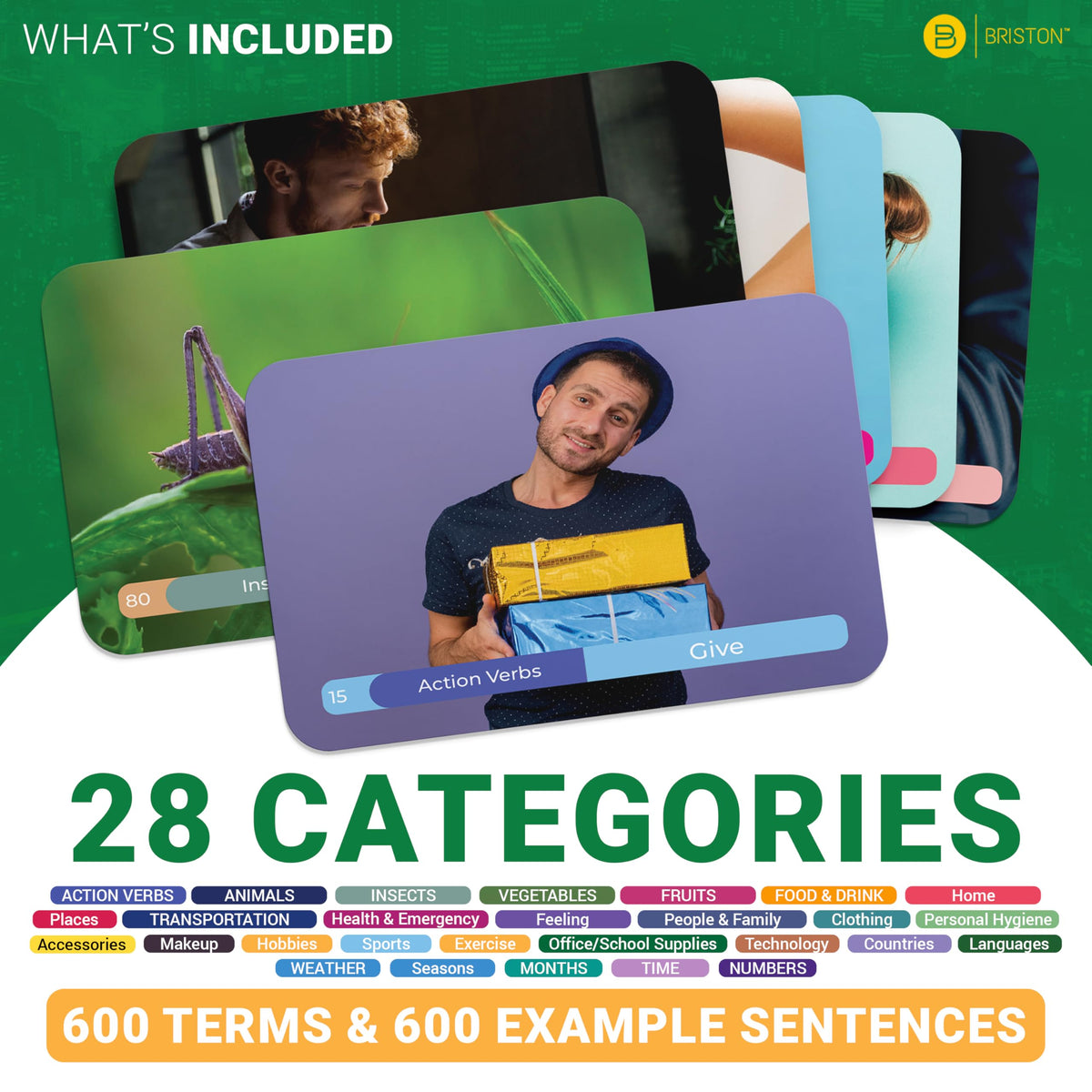 Spanish Vocabulary Flash Cards 600 Words Sentences and Pronunciation