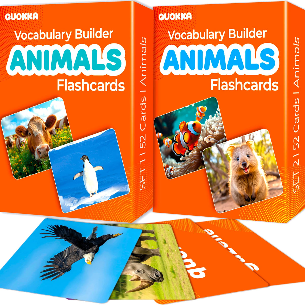 Vocabulary Builder Flash Cards for Kids Speech Therapy Learning
