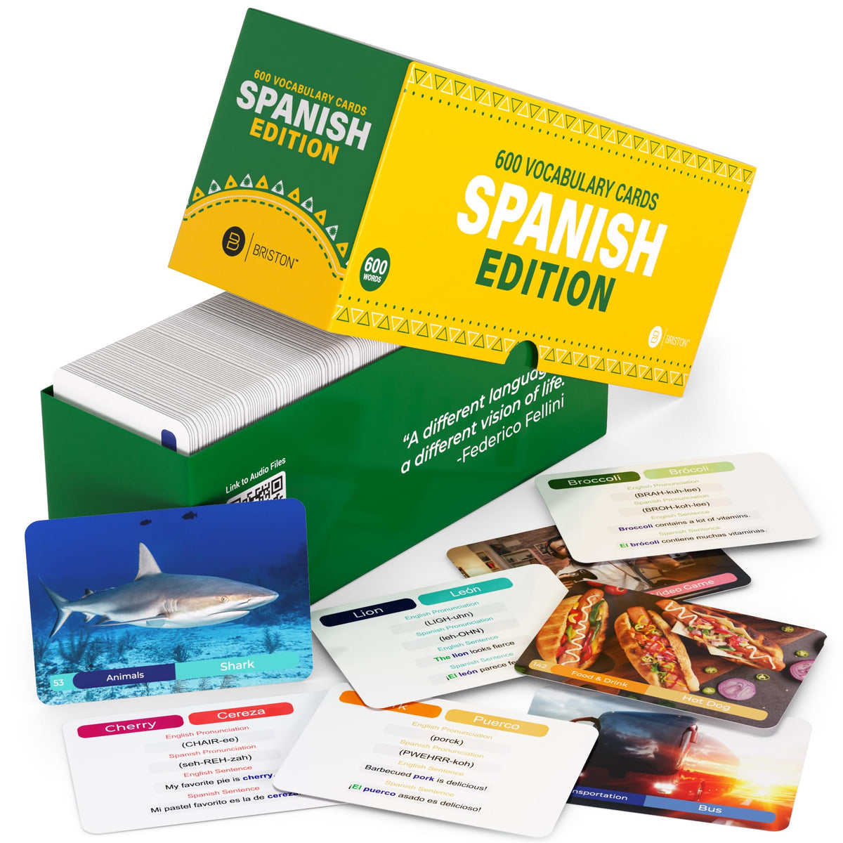 Spanish Vocabulary Flash Cards 600 Words Sentences and Pronunciation