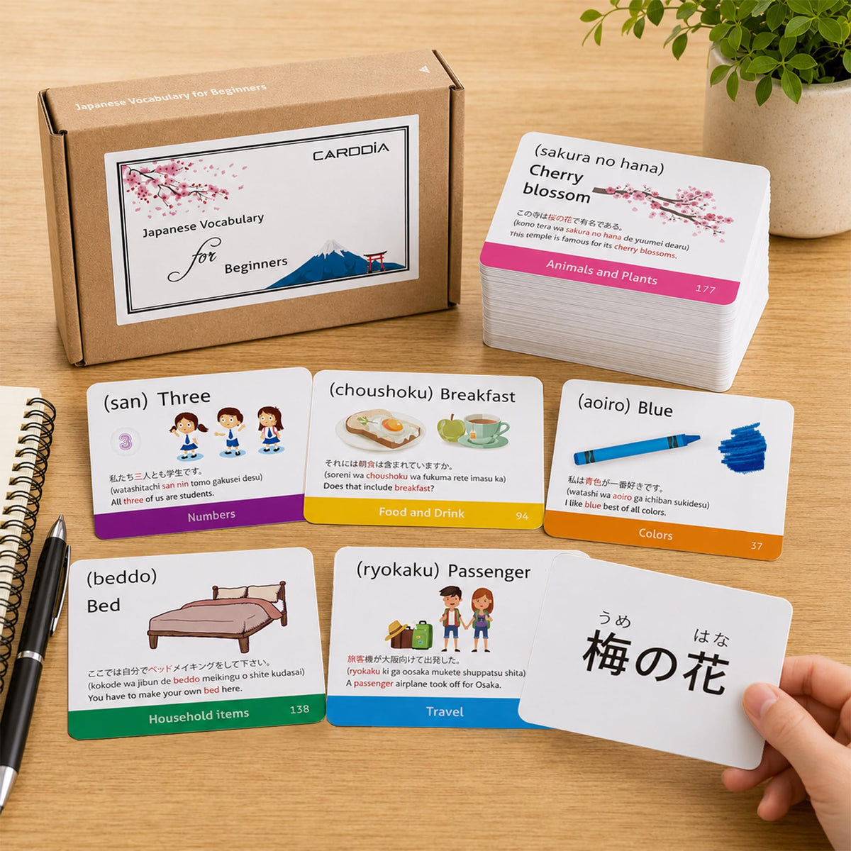 Japanese Vocabulary Flash Cards for Beginners with Example Sentences