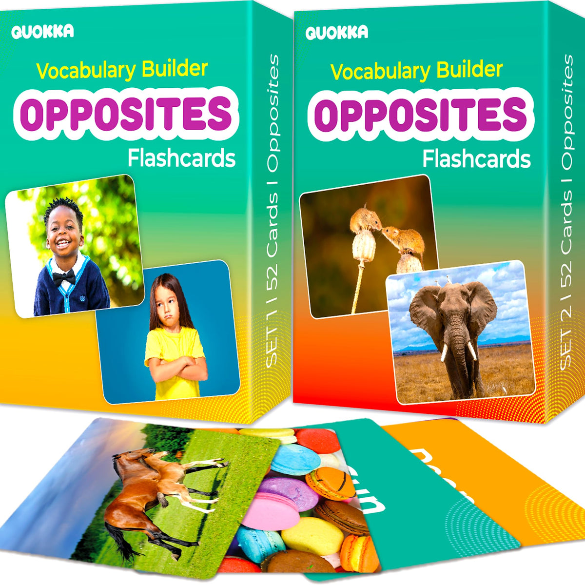 Vocabulary Builder Flash Cards for Kids Speech Therapy Learning