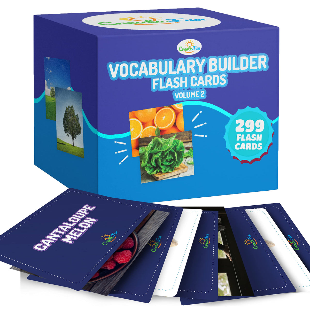 Vocabulary Builder Photo Flash Cards 6 Pack with Learning Games